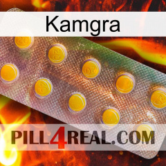 Kamgra new11